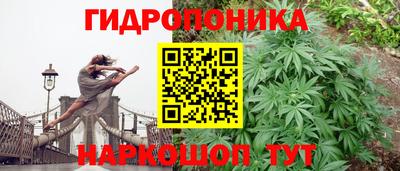 прущие грибы Бузулук