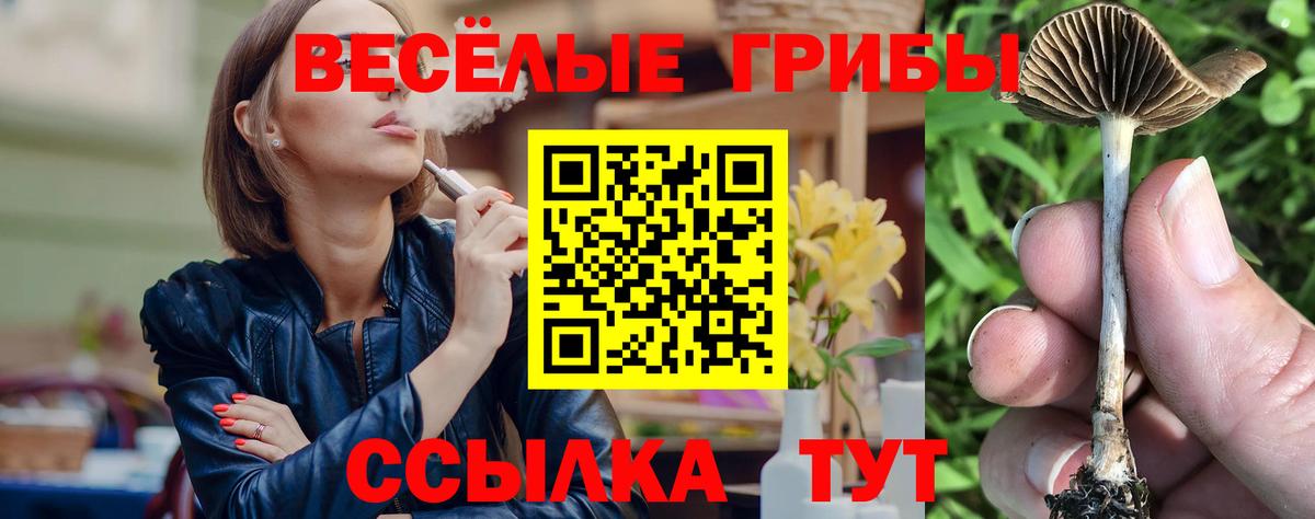 Галлюциногенные грибы Cubensis Назарово